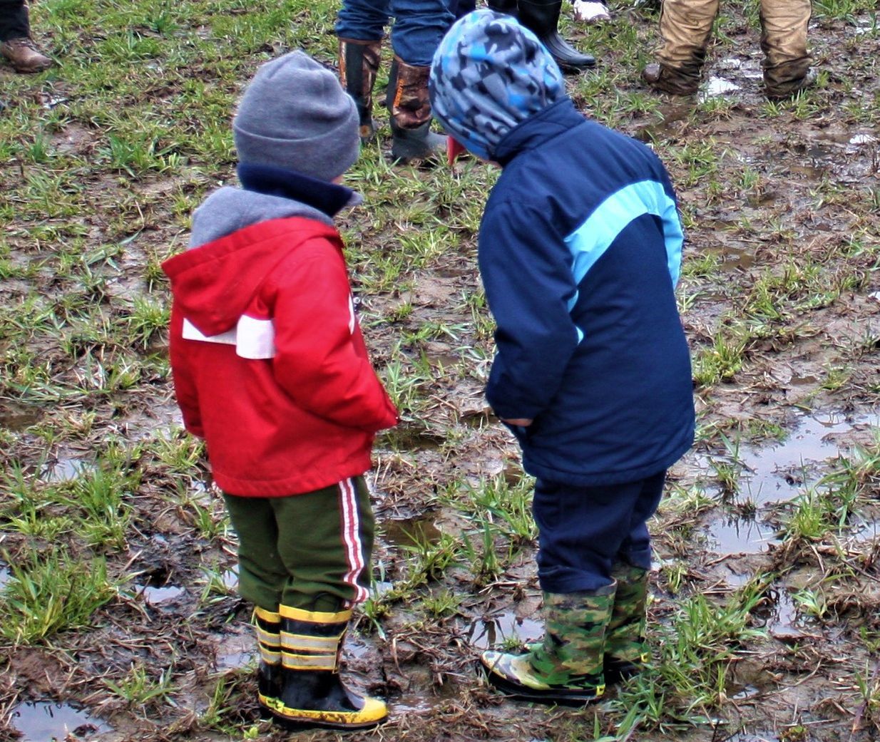 Boys consider pasture